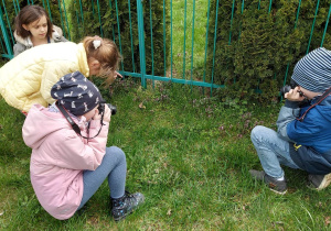 Uczniowie fotografują oznaki przyrody