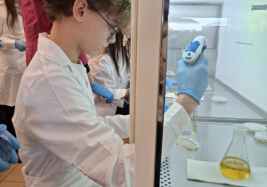 Uczniowie podczas warsztatów mikrobiologicznych na Uniwersytecie Łódzkim