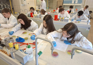 Uczniowie podczas warsztatów mikrobiologicznych na Uniwersytecie Łódzkim