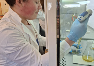 Uczniowie podczas warsztatów mikrobiologicznych na Uniwersytecie Łódzkim