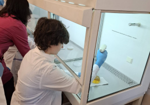 Uczniowie podczas warsztatów mikrobiologicznych na Uniwersytecie Łódzkim