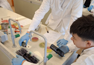 Uczniowie podczas warsztatów mikrobiologicznych na Uniwersytecie Łódzkim