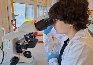 Uczniowie podczas warsztatów mikrobiologicznych na Uniwersytecie Łódzkim