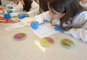 Uczniowie podczas warsztatów mikrobiologicznych na Uniwersytecie Łódzkim