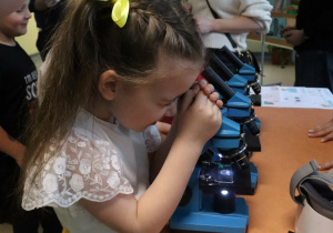 Społeczność szkolna i goście podczas Drzwi Otwartch