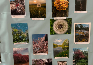 Międzyszkolny Konkurs Fotograficzny "Wiosna w obiektywie