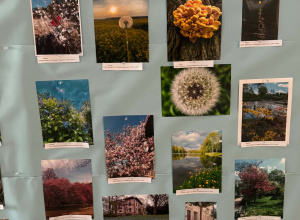 Wyniki Międzyszkolnego Konkursu Fotograficznego „Wiosna w Obiektywie”