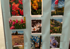 Międzyszkolny Konkurs Fotograficzny "Wiosna w obiektywie