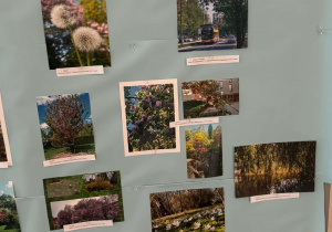 Międzyszkolny Konkurs Fotograficzny "Wiosna w obiektywie