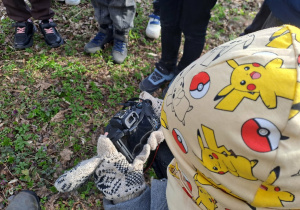 Dzieci fotografują okazy drzew, podczas warsztatów